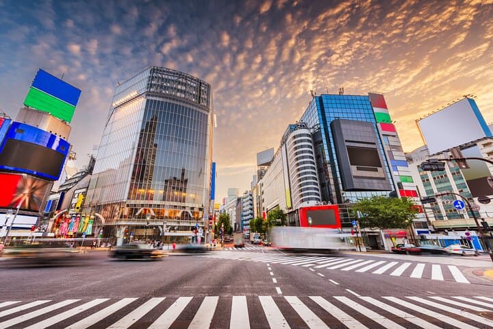 Afternoon Small Group Tour in Tokyo — photo 1