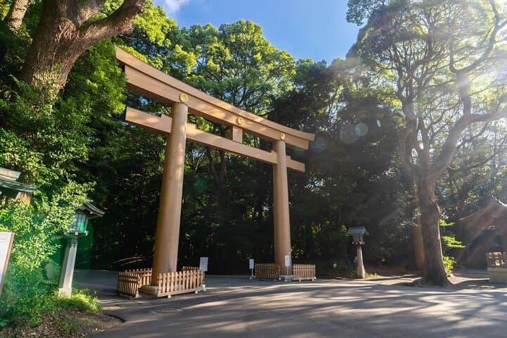Afternoon Small Group Tour in Tokyo — photo 3