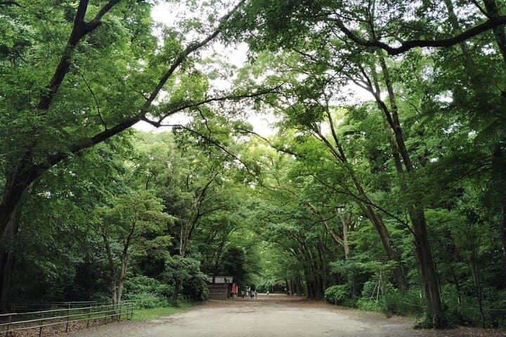 Kyoto: Walk Through History in Shimogamo’s Sacred Woods — photo 2