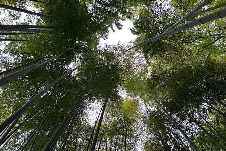 Journalist Guided Tour in Kita-Kamakura and Kamakura — photo 3
