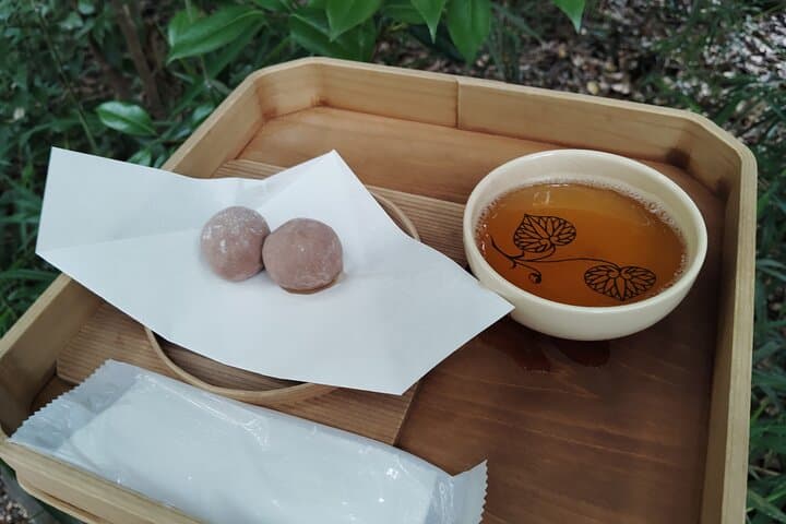Kyoto: Kamigamo and Shimogamo Shrines Guided Tour 3h — photo 3
