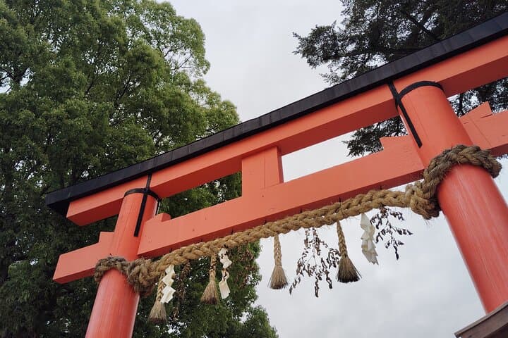 Kyoto: Kamigamo and Shimogamo Shrines Guided Tour 3h — photo 8
