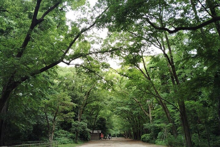 Kyoto: Kamigamo and Shimogamo Shrines Guided Tour 3h — photo 2