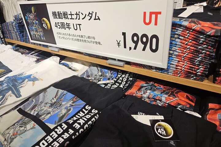 Akihabara Private Tour: Anime, Maid Café & Japanese Culture — photo 9