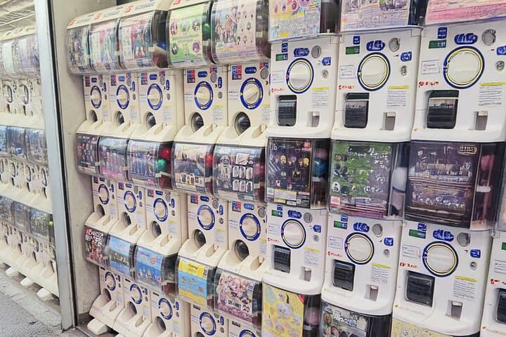 Akihabara Private Tour: Anime, Maid Café & Japanese Culture — photo 6