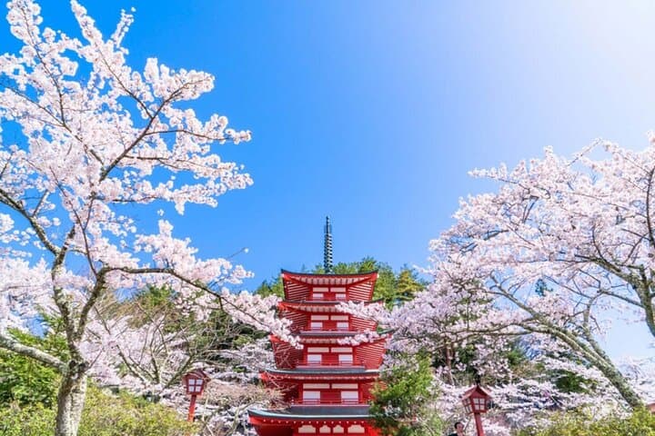 Mt. Fuji 5th, Oshino Hakkai, Onsen Full-Day Trip From Tokyo — photo 3