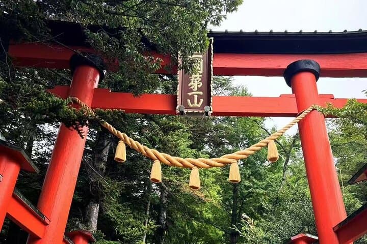 Mount Fuji Day Tour:Lake Kawaguchi, HealingVillage,Oshino Hakkai — photo 13