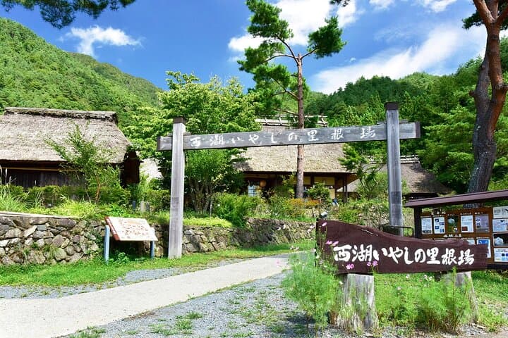 Mount Fuji Day Tour:Lake Kawaguchi, HealingVillage,Oshino Hakkai — photo 8