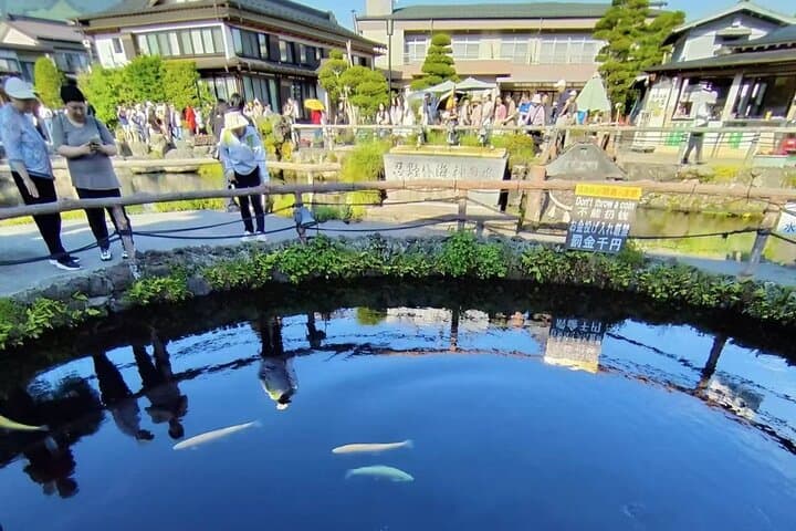 From Tokyo: Top 5 Scenic Spots of Mount Fuji Full-Day Tour — photo 16
