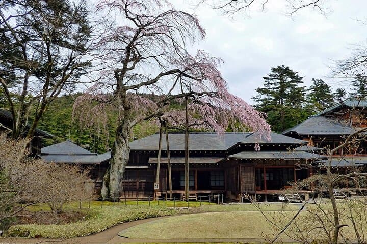 Nikko Day Tour World Heritage & Nature with English speak Driver — photo 10