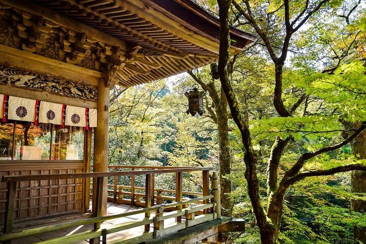 Nikko Day Tour World Heritage & Nature with English speak Driver — photo 14