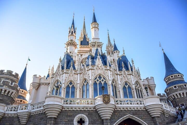 Private Tokyo Disneyland/DisneySea Tour with Car Transportation — photo 2