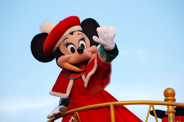 Private Tokyo Disneyland/DisneySea Tour with Car Transportation — photo 4