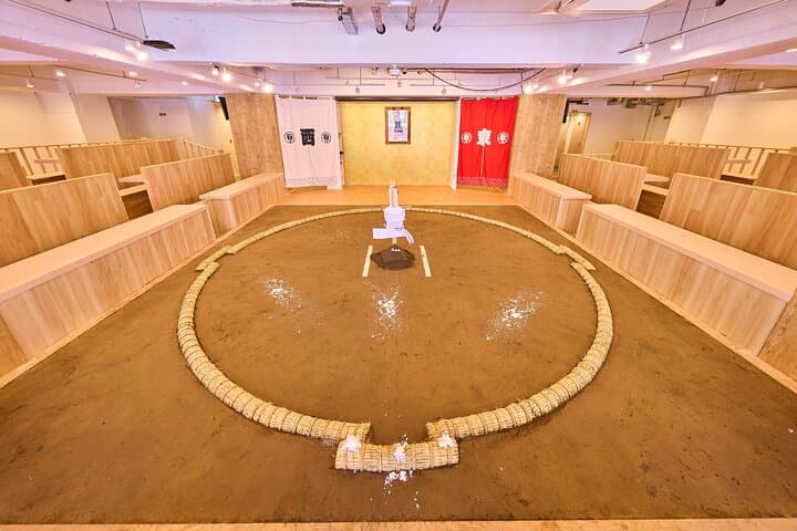 Vegan-Friendly Tokyo Sumo Show, Mochi-Pounding Dinner Experience — photo 15