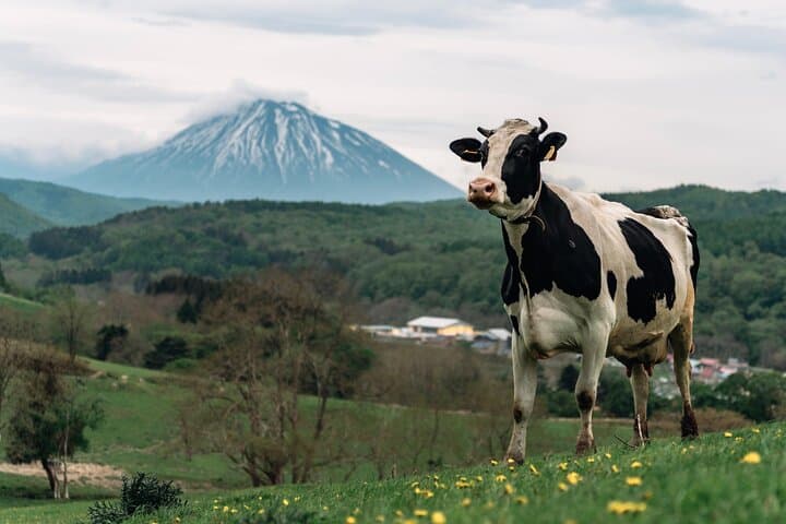 1-Day Private Tour from Chitose/Sapporo to Wherever you wanna go! — photo 7