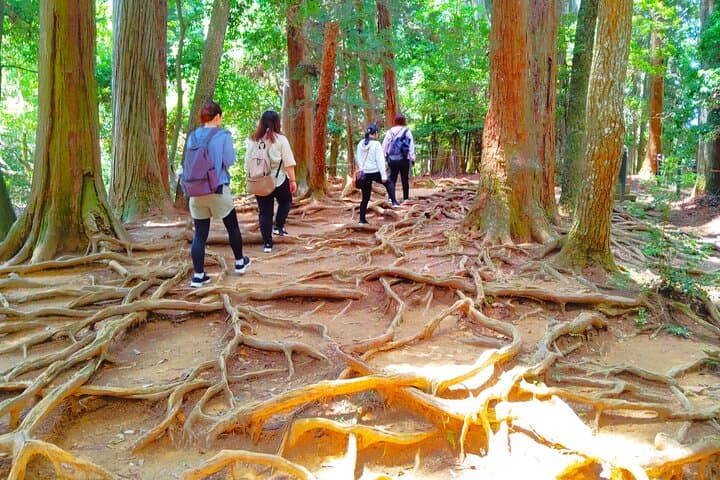 Kyoto: Kurama Temple and Mountain Legends Guided Hike — photo 4