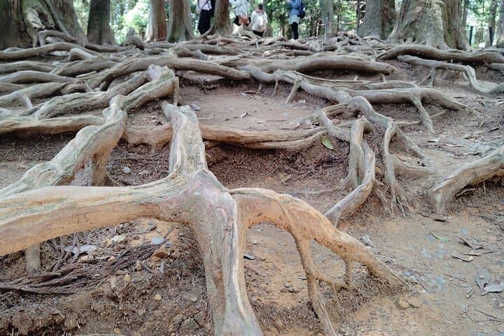 Kyoto: Kurama Temple and Mountain Legends Guided Hike — photo 12