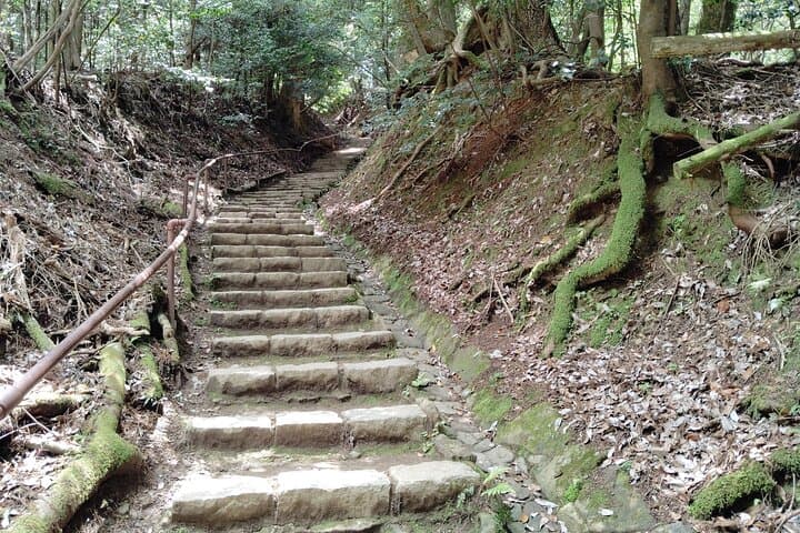 Kyoto: Kurama Temple and Mountain Legends Guided Hike — photo 13