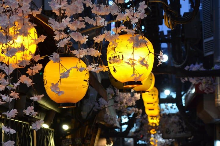 Tokyo After Dark Shinjuku Tour of Tradition and Pop Culture — photo 6
