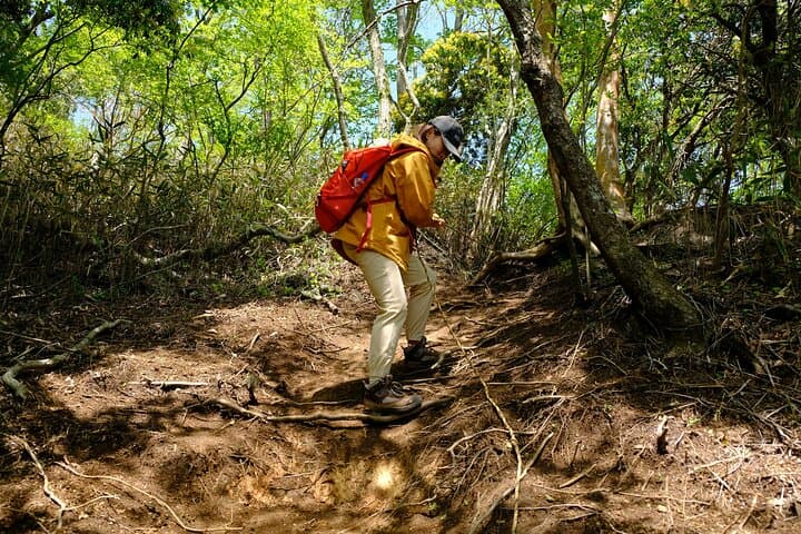 Private Hiking Tour with a certified national guide in Hakone — photo 9