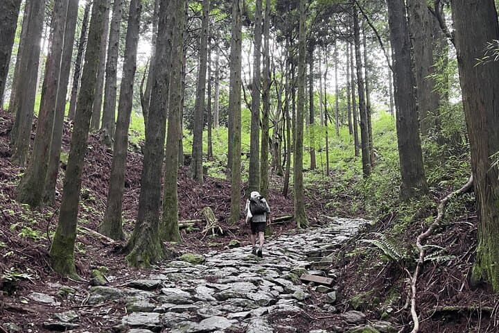 Private Hiking Tour with a certified national guide in Hakone — photo 12