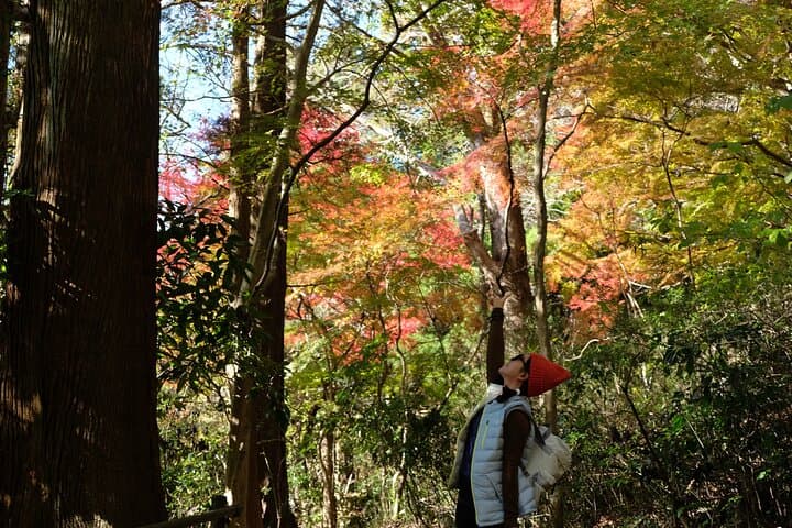 Private Hiking Tour with a certified national guide in Hakone — photo 14