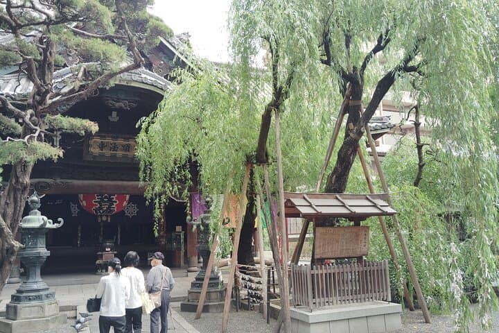 Kyoto: Sacred Kannon Temple Pilgrimage Across Six Sites — photo 10