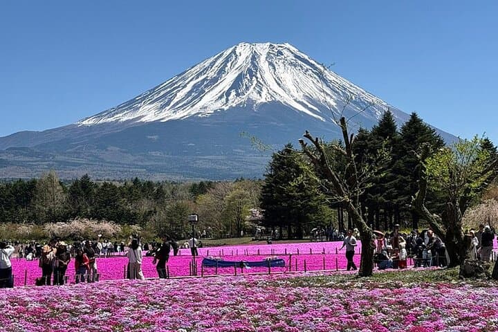 Mt. Fuji and Hakone Cultural Tour with Licensed Guide — photo 8