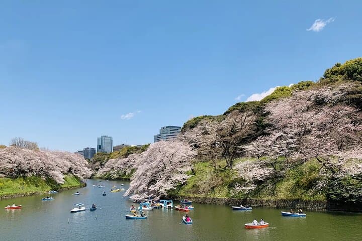 Imperial Palace East Garden Private Tour from Tokyo — photo 3