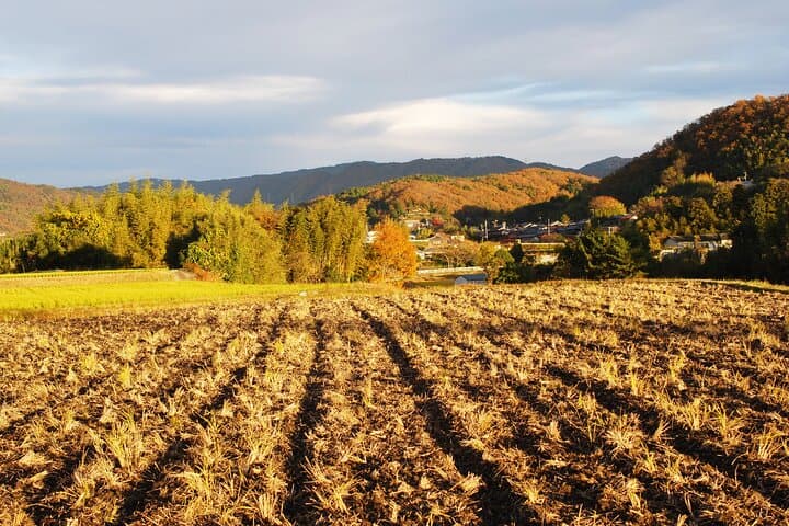 URA*KOBE Japan’s Rural History and Hiking — photo 9