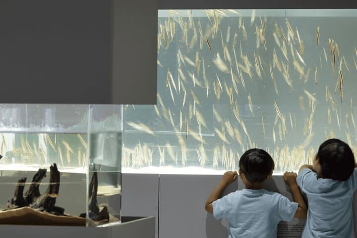 Sapporo AOAO Aquarium Park Hokkaido — photo 4