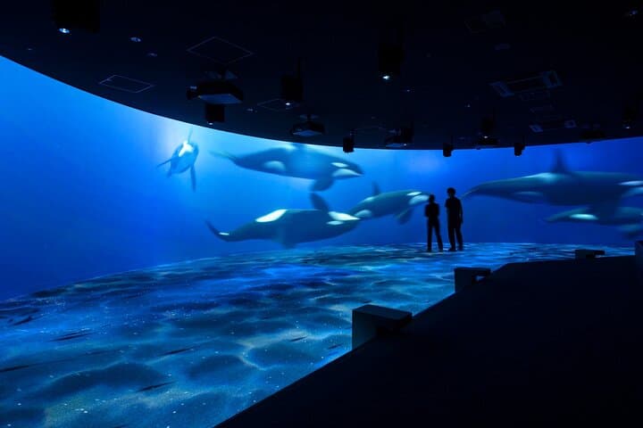 Sapporo AOAO Aquarium Park Hokkaido — photo 2