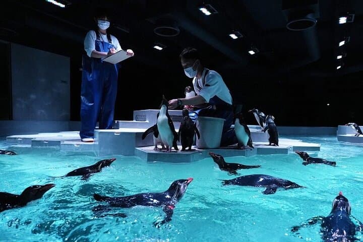 Sapporo AOAO Aquarium Park Hokkaido — photo 8