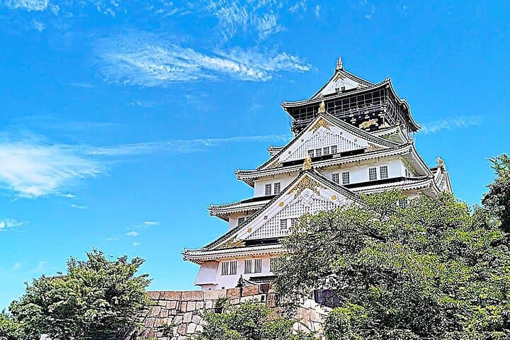 Osaka: Castle and Stone Walls Guided Walking Tour — photo 2