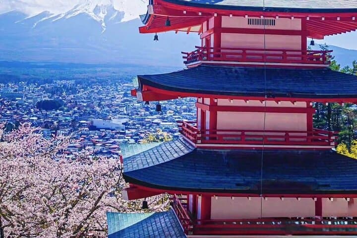 Private Mt Fuji Area Day Trip with English Speaking Driver — photo 7