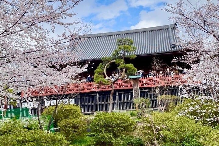 Private Walking Tour in Tokyo - See all Highlights in 1 Day — photo 7