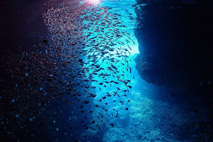 [Okinawa Blue Cave] Snorkeling with Private Guide+ Free Photos — photo 20