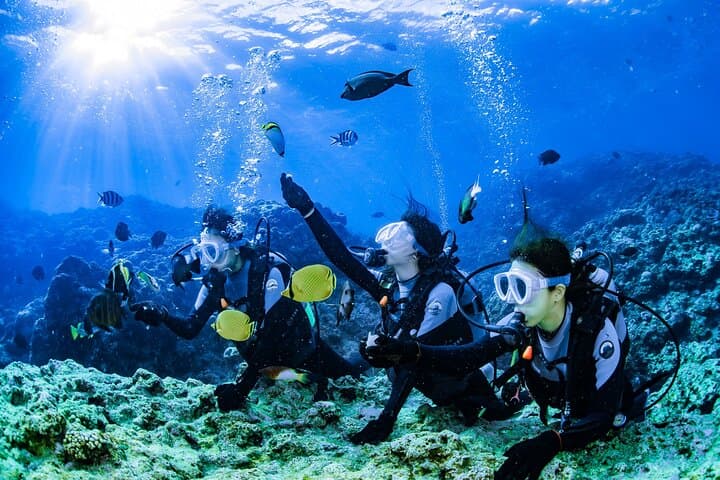 Blue Cave Introductory Dive–Private Guide, Boat Tour&Free Photos — photo 8