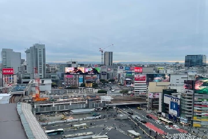 Tokyo: Shibuya Highlights Walking Tour — photo 5