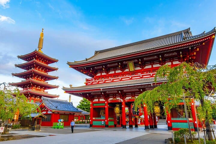 Tokyo Private Custom Full Day Sightseeing Tour by Chartered Car — photo 2