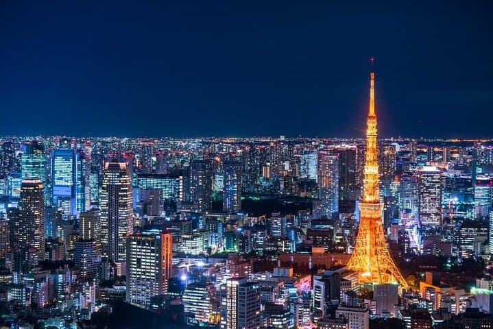 Tokyo Private Custom Full Day Sightseeing Tour by Chartered Car — photo 7