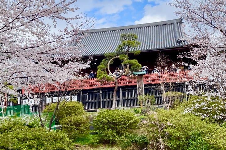Private Curated Tour | Historical Tokyo - Ueno, Asakusa, Emperor — photo 6