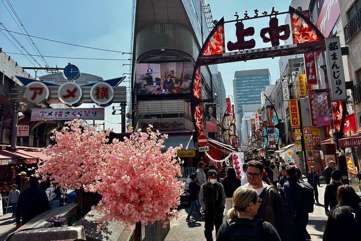 Private Curated Tour | Historical Tokyo - Ueno, Asakusa, Emperor — photo 13