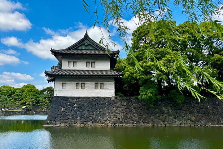 Private Curated Tour | Historical Tokyo - Ueno, Asakusa, Emperor — photo 14