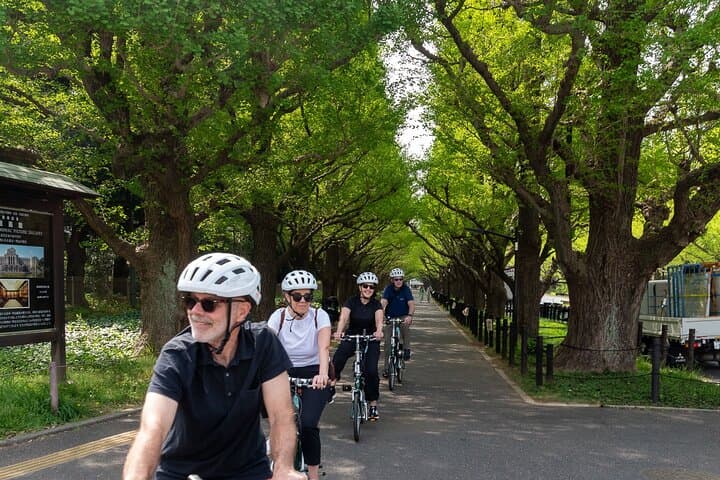 3-Hour Tokyo Private E-Bike Tour Starting from Your Hotel — photo 8