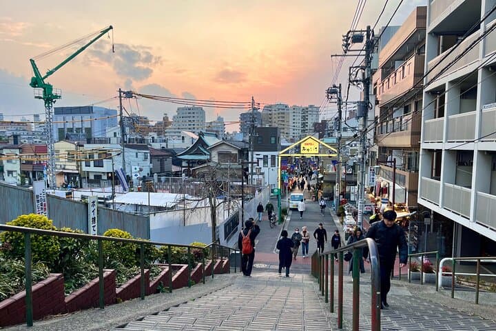 Tokyo Yanaka Old Town Walking Tour (Private/Local guide) — photo 11