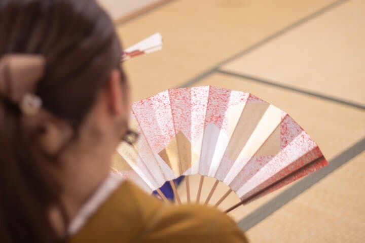 Authentic Japanese Dance Experience in Kyoto — photo 7