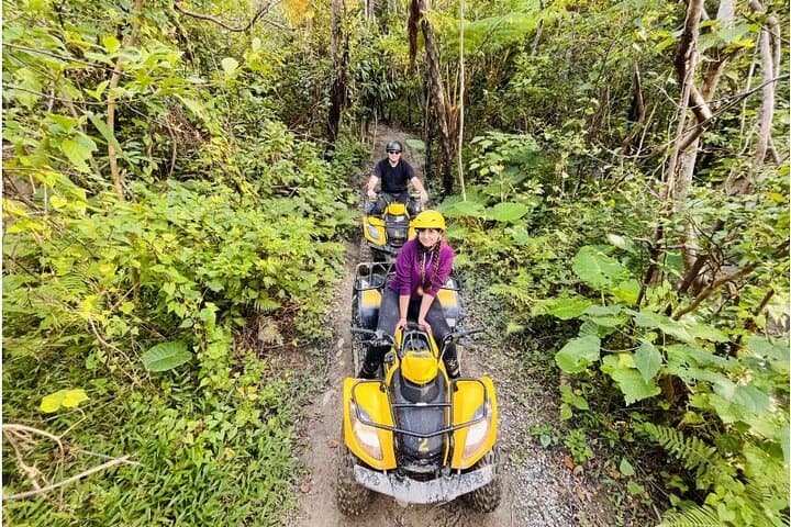Ultimate Jungle Exploration Course in Yanbaru (60-minute buggy) — photo 5