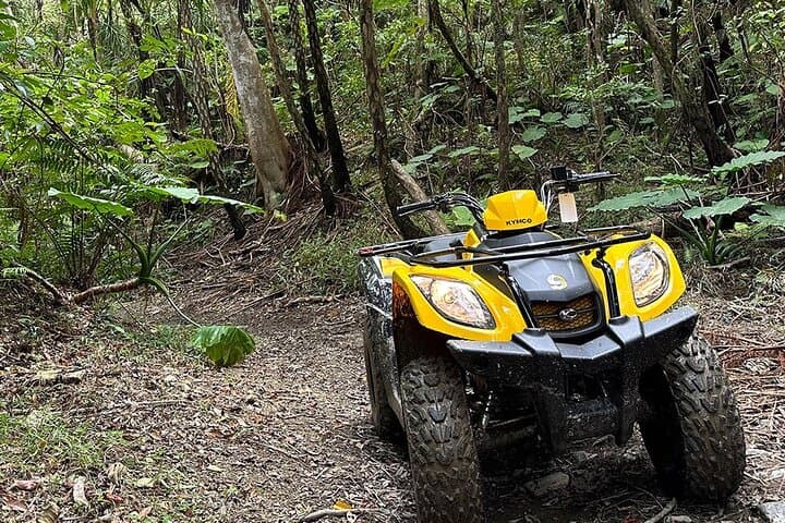Ultimate Jungle Exploration Course in Yanbaru (60-minute buggy) — photo 6