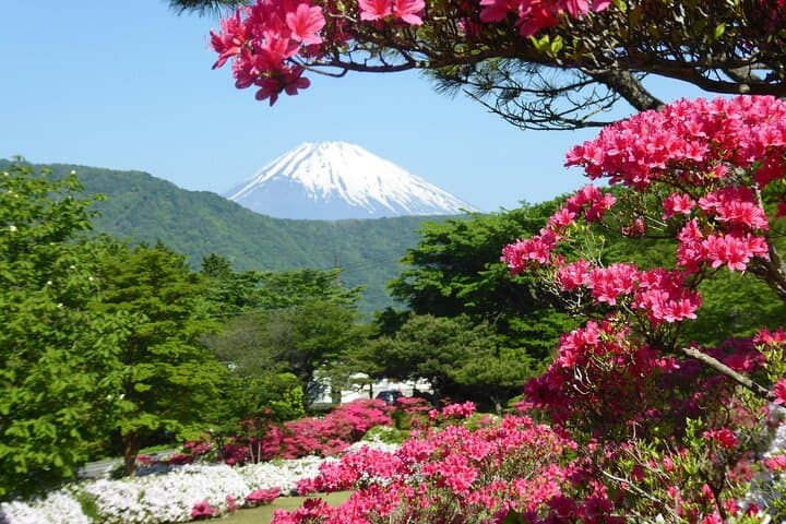 Tokyo, Hakone, Mt Fuji, and Nikko, 3 Day Private Tour — photo 13